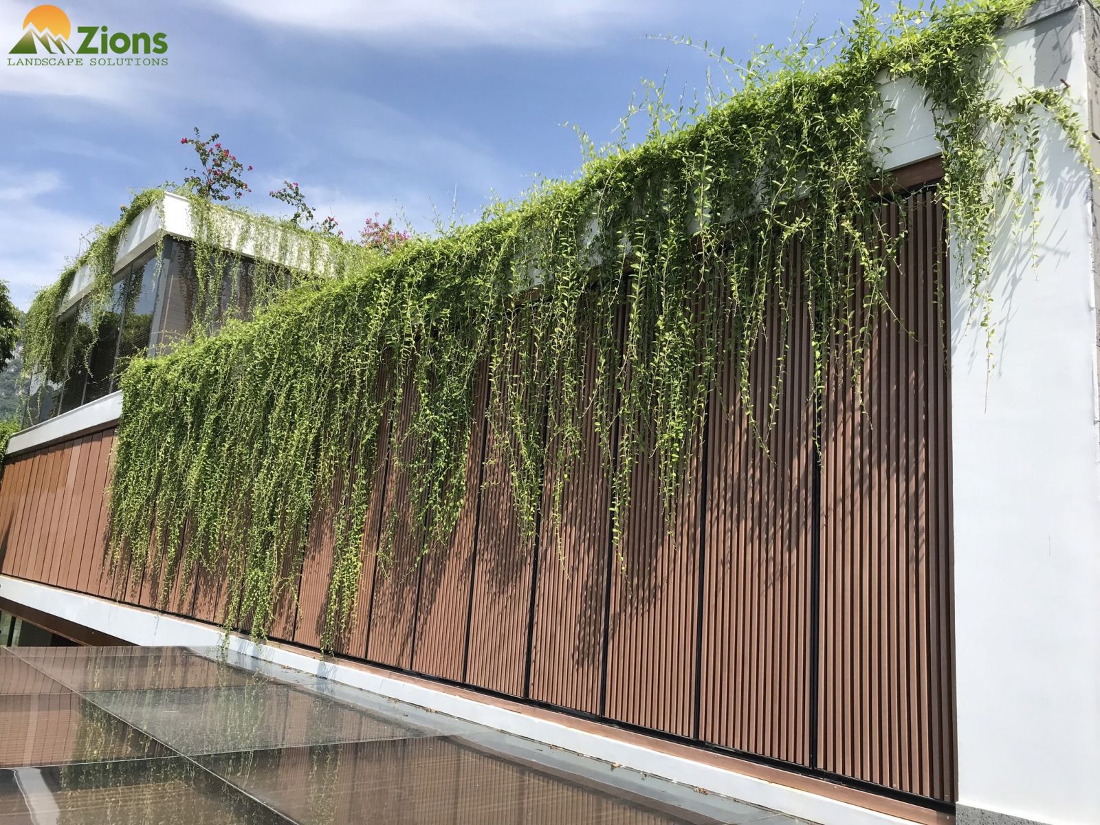 Thiết kế sân vườn nhà hướng Tây